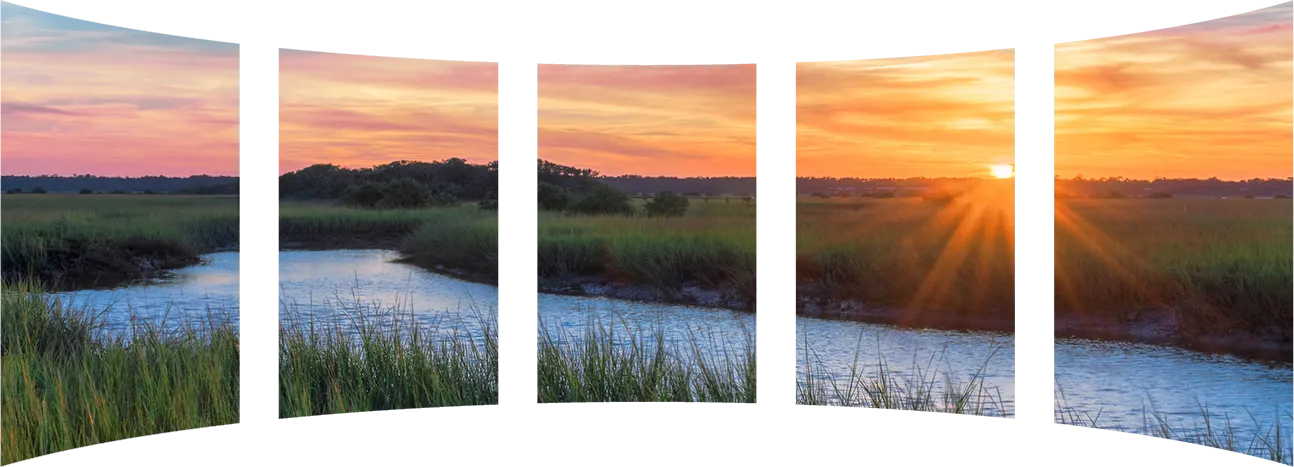 2-Florida marsh sunset landscape-web