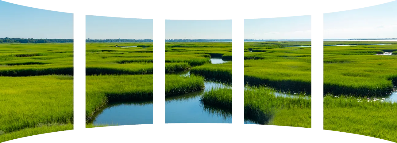 6-cape cod marsh landscape-web