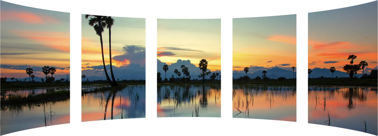 7-Palm Tree sunset landscape-web